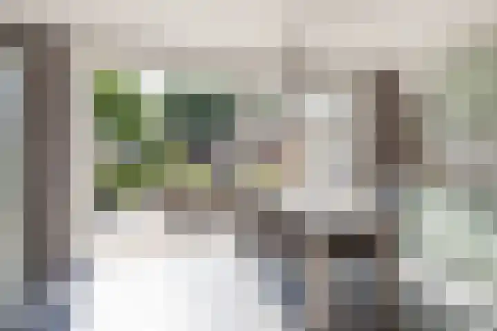 Prins Bernhardlaan 67 Amerongen thumbnail 11