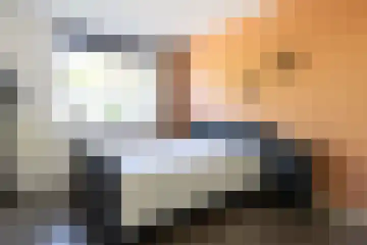 Prins Bernhardlaan 67 Amerongen thumbnail 20
