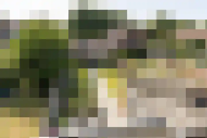 Prins Bernhardlaan 67 Amerongen thumbnail 30