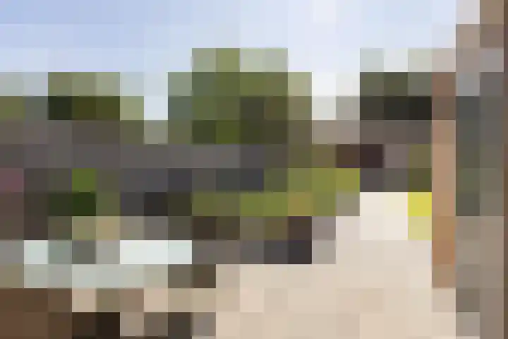 Prins Bernhardlaan 67 Amerongen thumbnail 32