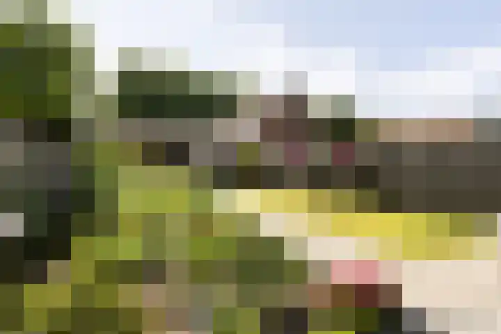 Prins Bernhardlaan 67 Amerongen thumbnail 33