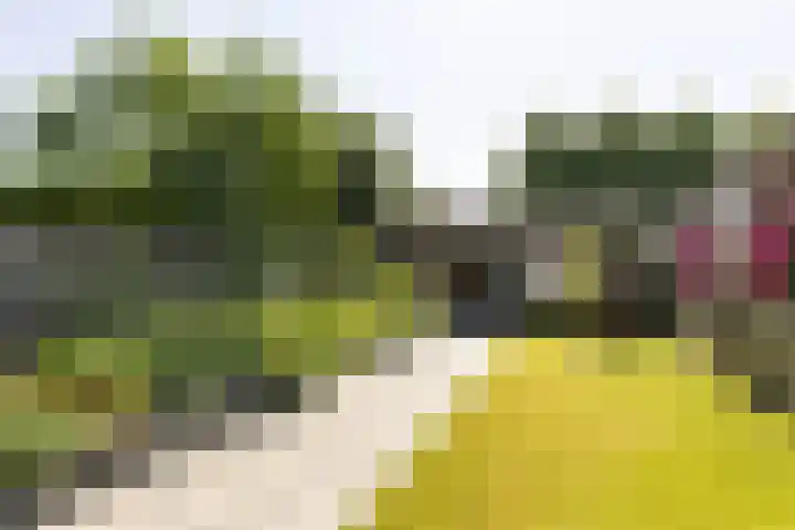 Prins Bernhardlaan 67 Amerongen thumbnail 34