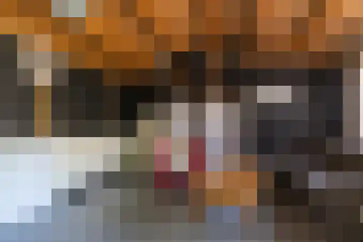 Prins Bernhardlaan 67 Amerongen thumbnail 39