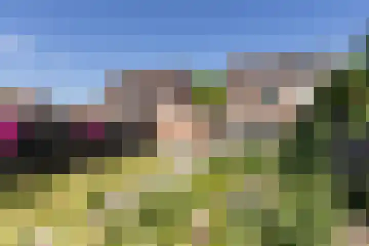 Prins Bernhardlaan 67 Amerongen thumbnail 42