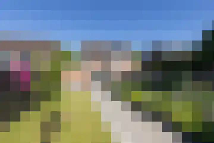 Prins Bernhardlaan 67 Amerongen thumbnail 43