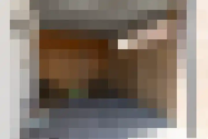 Prins Bernhardlaan 67 Amerongen thumbnail 48