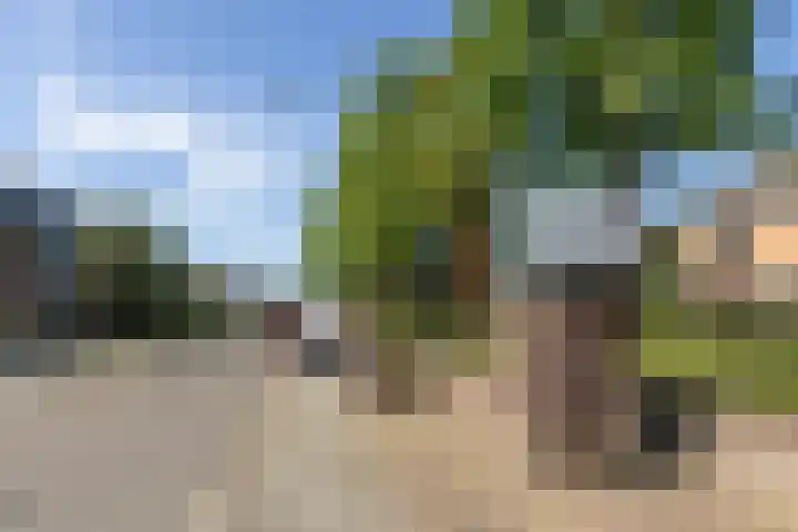 Prins Bernhardlaan 67 Amerongen thumbnail 50