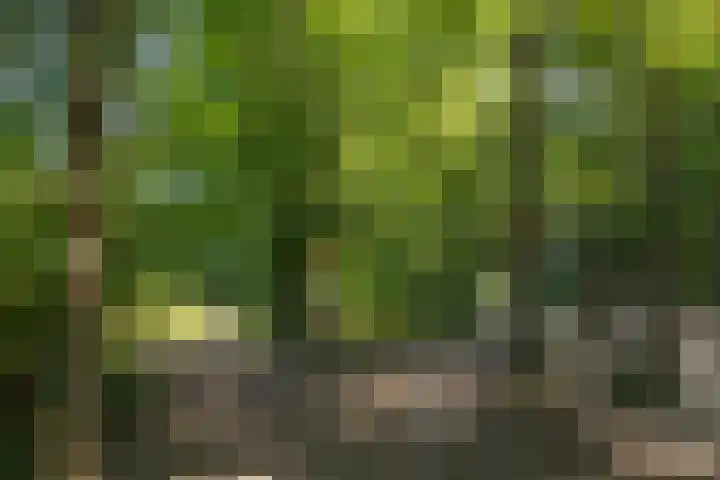Prins Bernhardlaan 67 Amerongen thumbnail 52