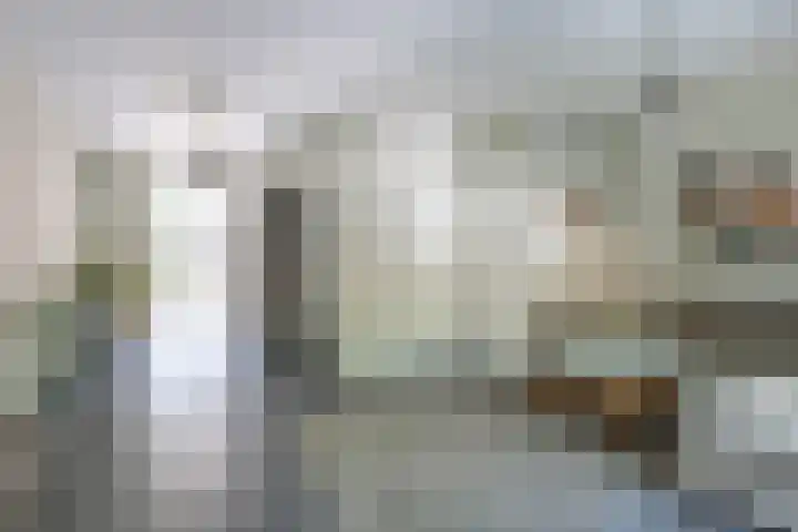 Prins Bernhardlaan 67 Amerongen thumbnail 8