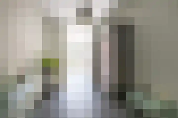 Prins Bernhardlaan 67 Amerongen thumbnail 9