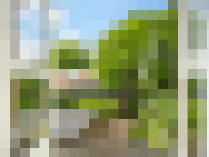 Prins Bernhardlaan 67 Zutphen thumbnail 17