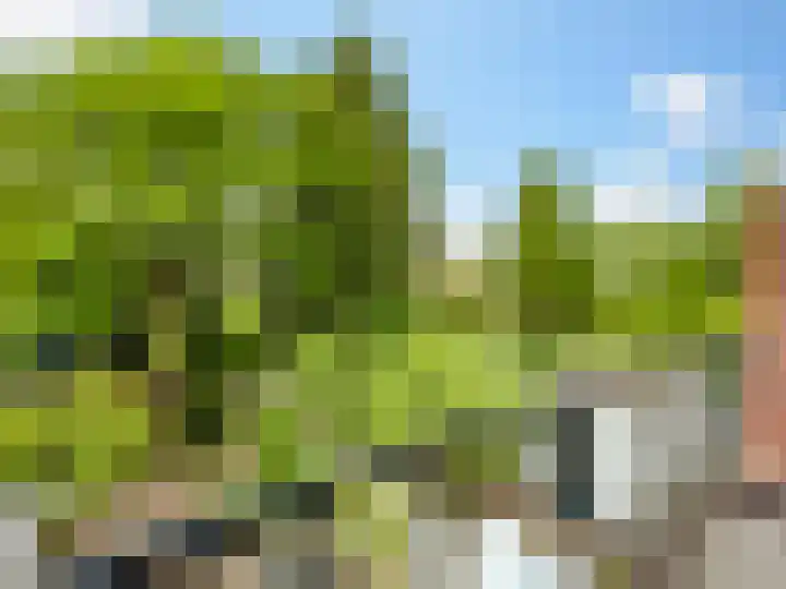 Prins Bernhardlaan 67 Zutphen thumbnail 18