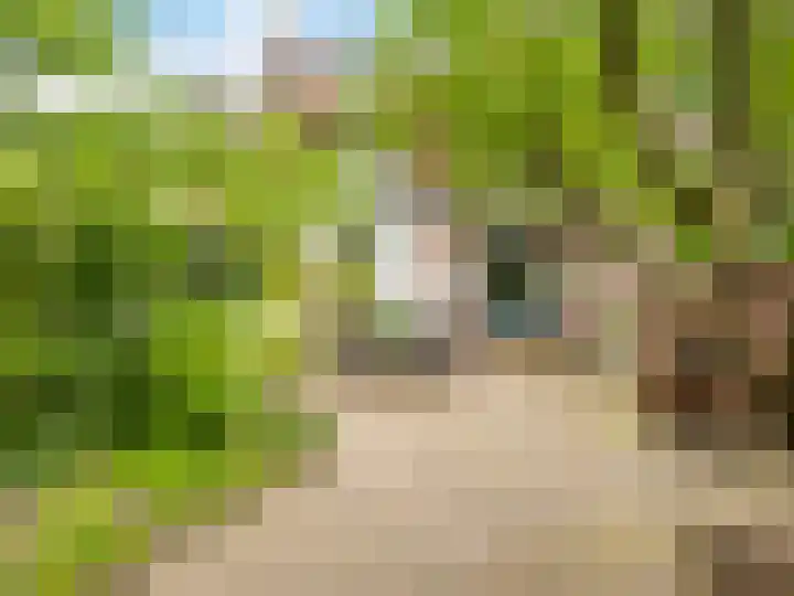 Prins Bernhardlaan 67 Zutphen thumbnail 30