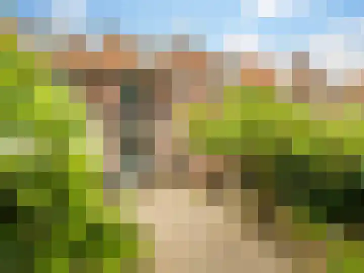 Prins Bernhardlaan 67 Zutphen thumbnail 31