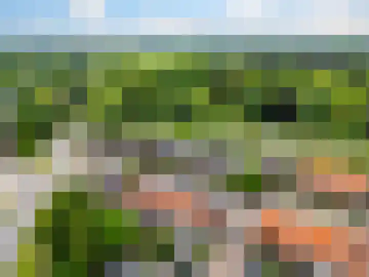 Prins Bernhardlaan 67 Zutphen thumbnail 34