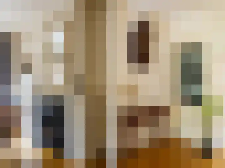 Prins Bernhardlaan 67 Zutphen thumbnail 9