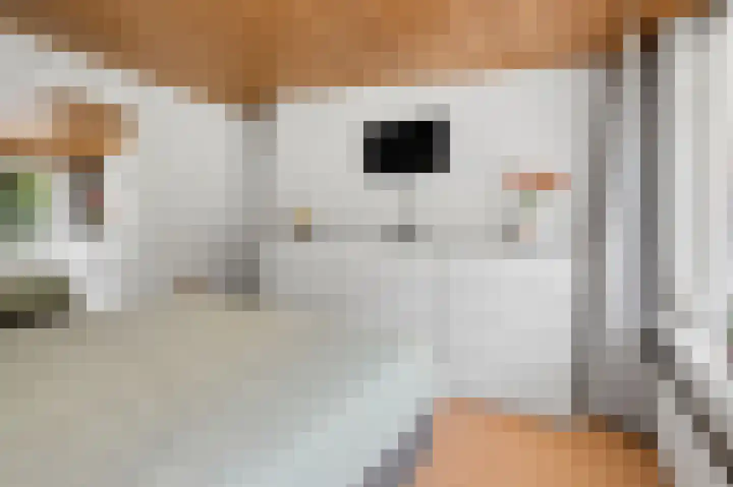 Prins Bernhardlaan 69 Ede thumbnail 25