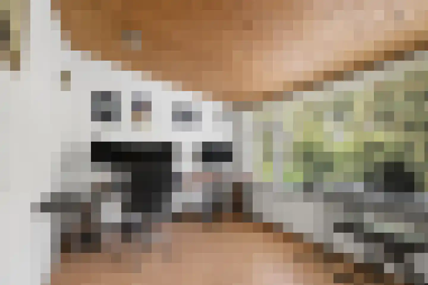 Prins Bernhardlaan 69 Ede thumbnail 26
