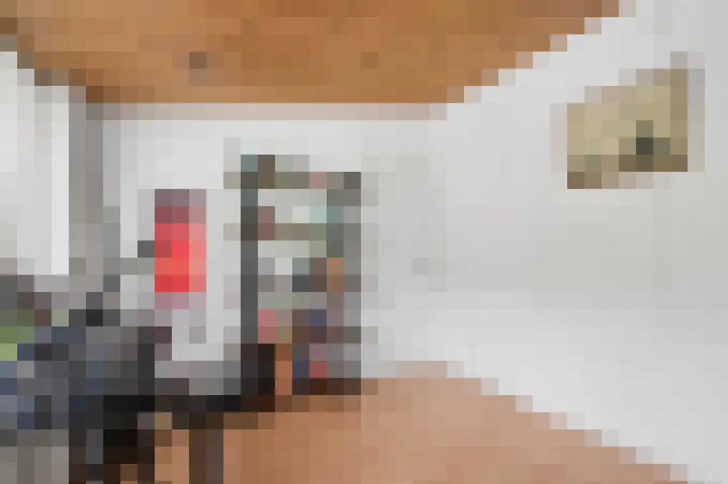 Prins Bernhardlaan 69 Ede thumbnail 27