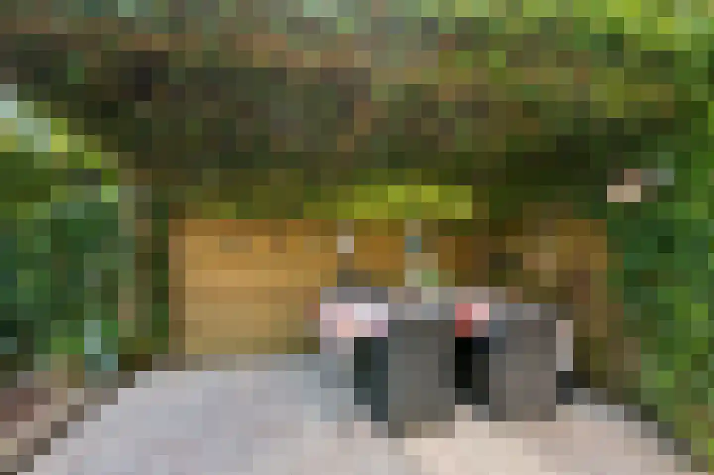 Prins Bernhardlaan 69 Ede thumbnail 35