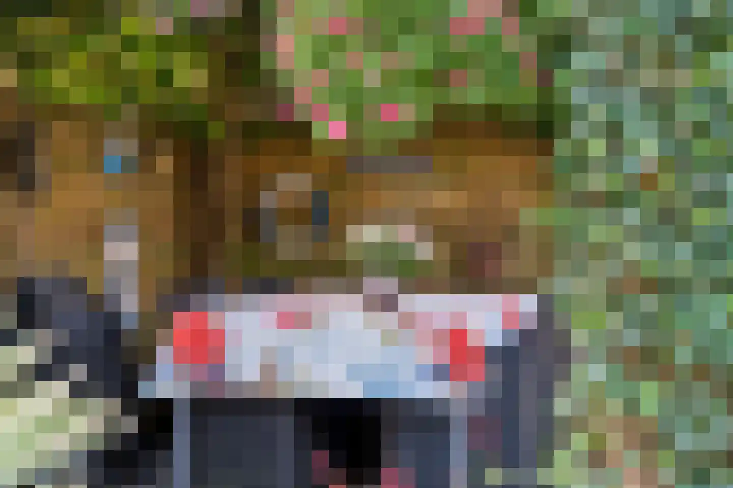 Prins Bernhardlaan 69 Ede thumbnail 36
