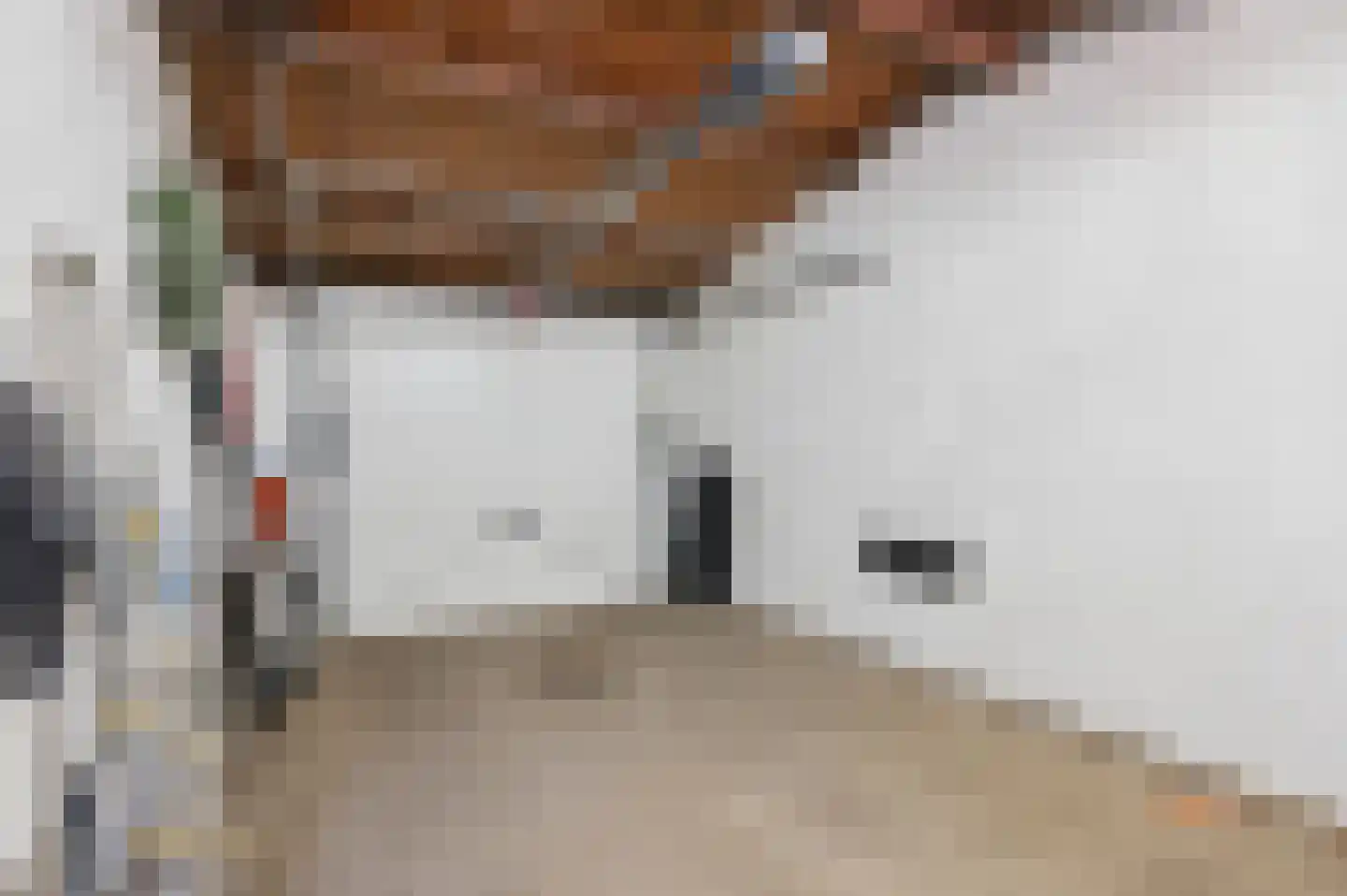 Prins Bernhardlaan 69 Ede thumbnail 47