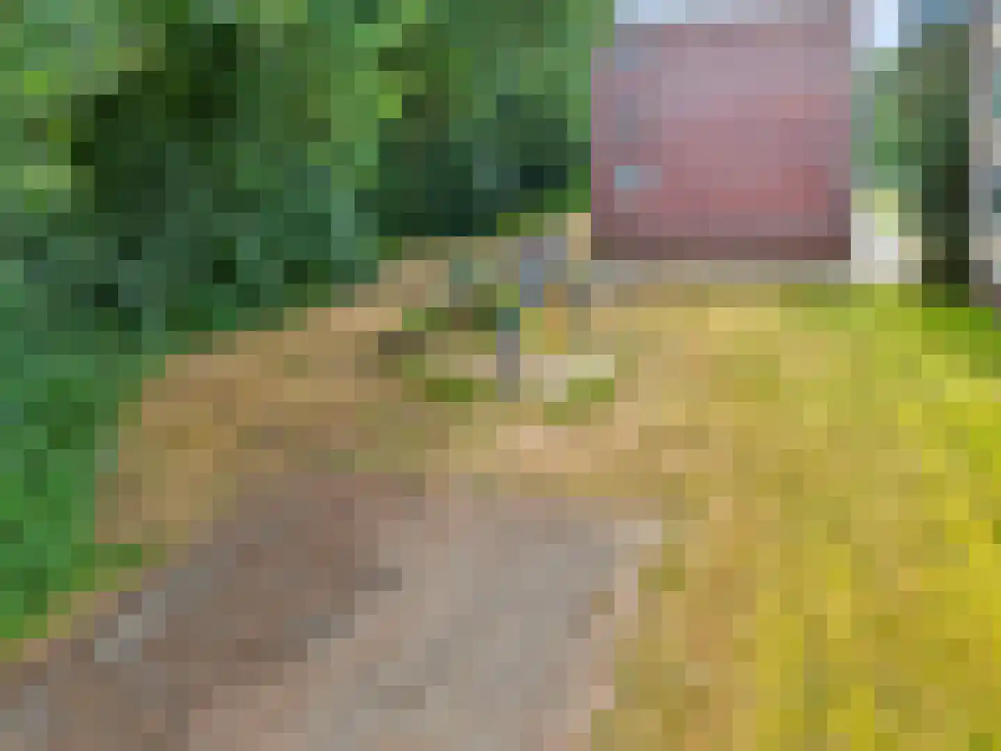 Prins Bernhardlaan 69 Ede thumbnail 57