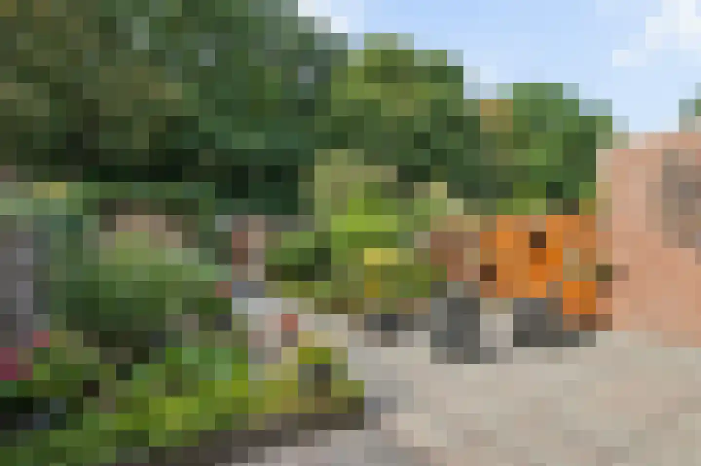 Prins Bernhardlaan 69 Ede thumbnail 7