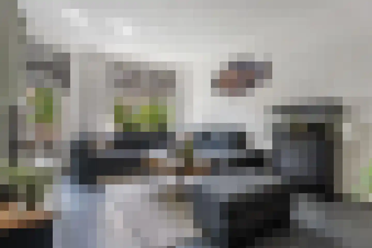 Prins Bernhardlaan 7 A Veendam thumbnail 32