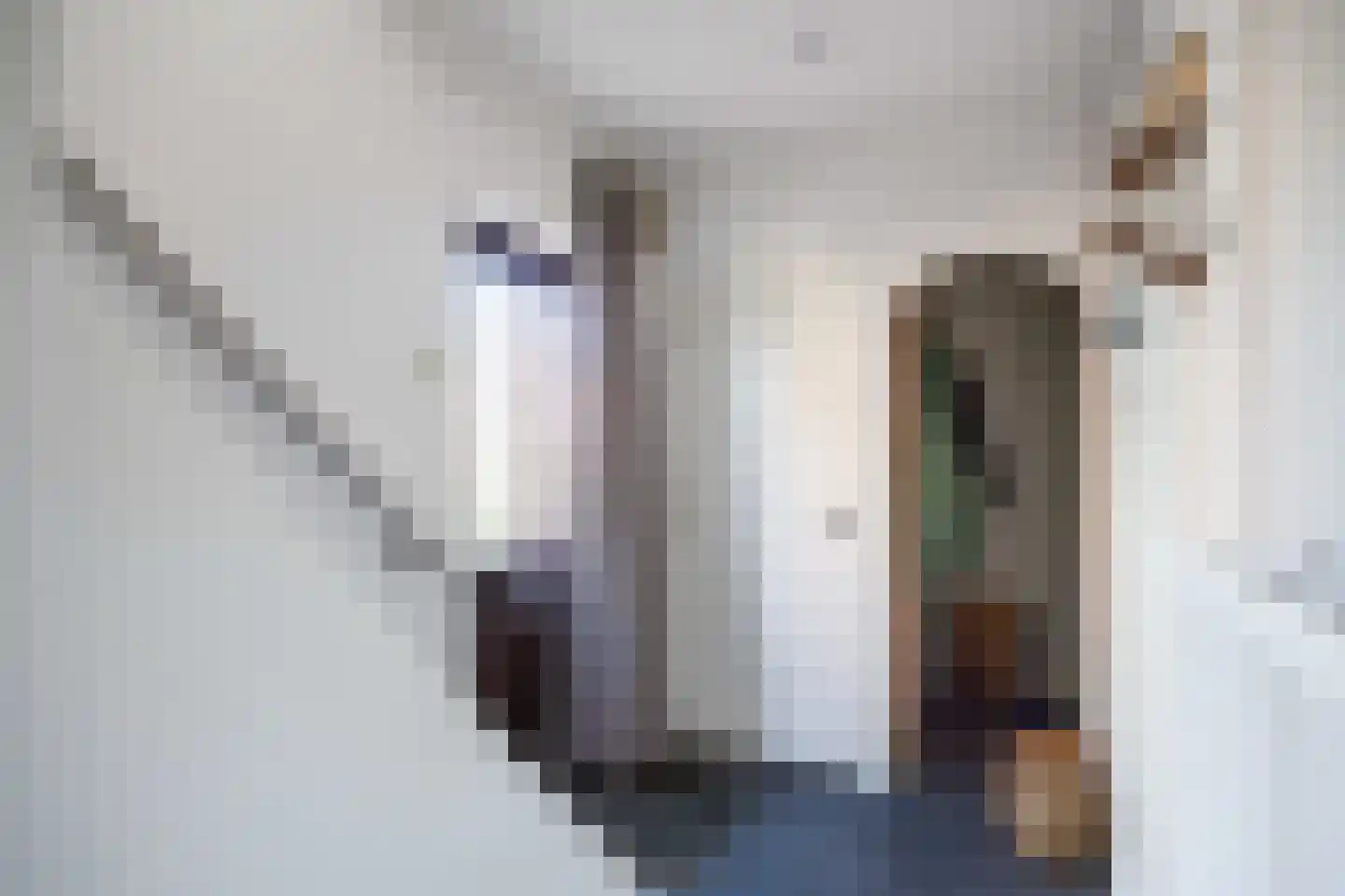 Prins Bernhardlaan 7 Niekerk thumbnail 22