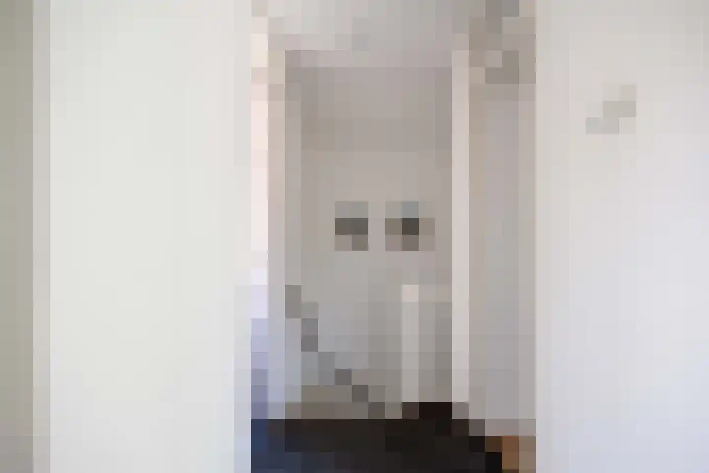 Prins Bernhardlaan 7 Niekerk thumbnail 24