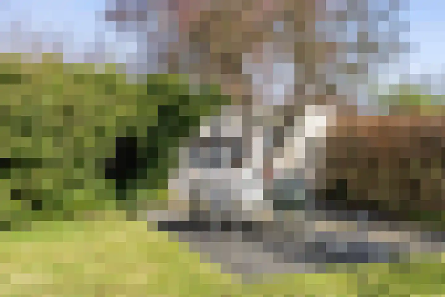 Prins Bernhardlaan 7 Niekerk thumbnail 39