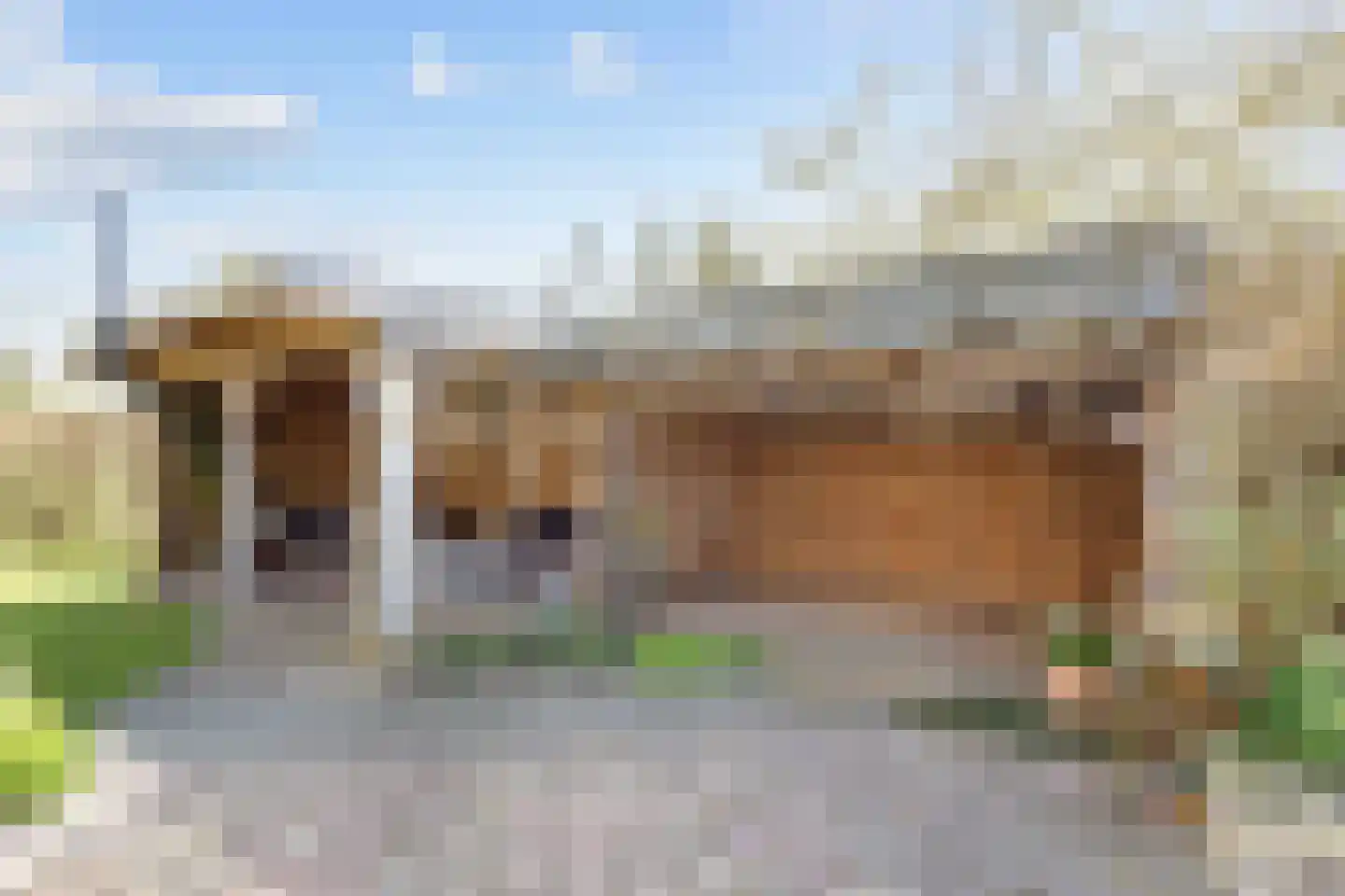 Prins Bernhardlaan 7 Niekerk thumbnail 43