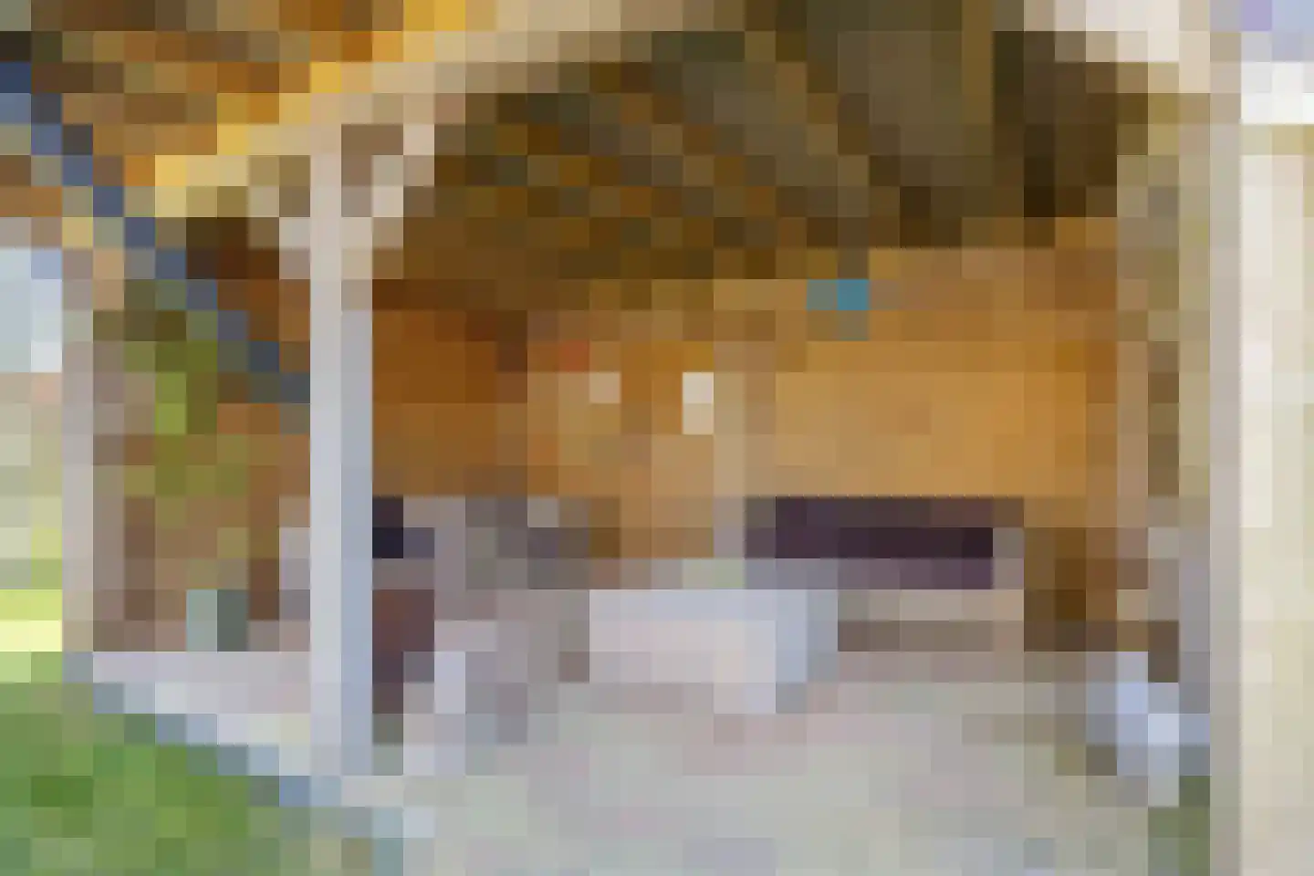 Prins Bernhardlaan 7 Niekerk thumbnail 44