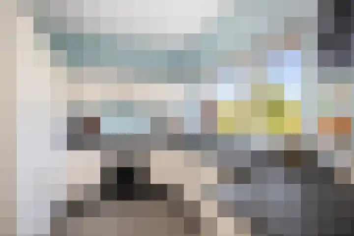 Prins Bernhardlaan 7 Wijhe thumbnail 12