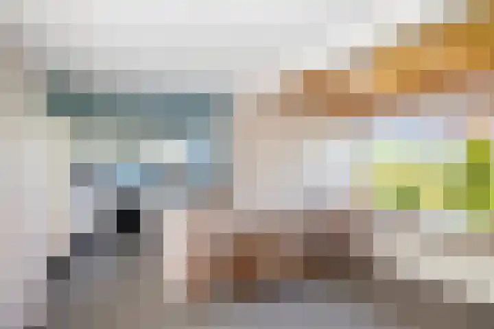 Prins Bernhardlaan 7 Wijhe thumbnail 13