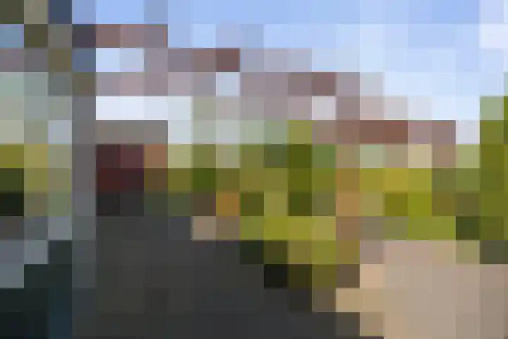 Prins Bernhardlaan 7 Wijhe thumbnail 24