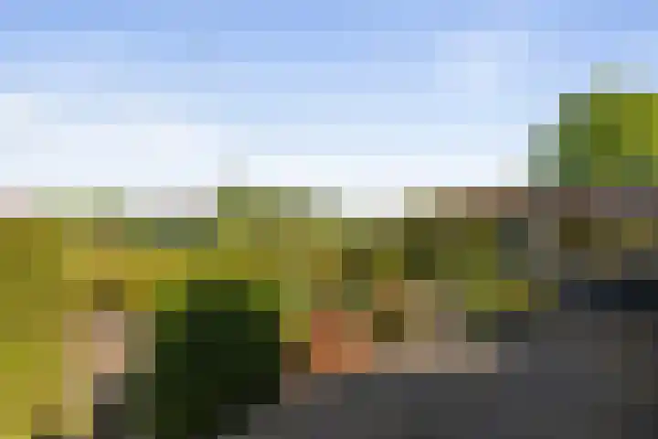 Prins Bernhardlaan 7 Wijhe thumbnail 25