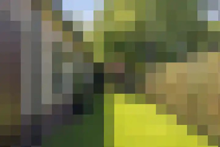 Prins Bernhardlaan 7 Wijhe thumbnail 26