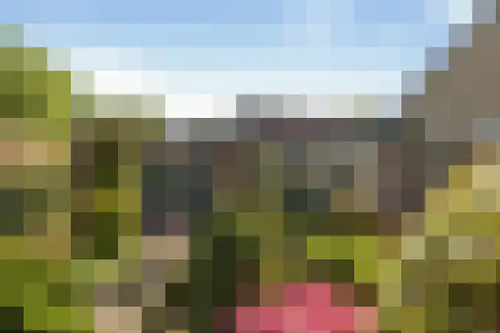 Prins Bernhardlaan 7 Wijhe thumbnail 27