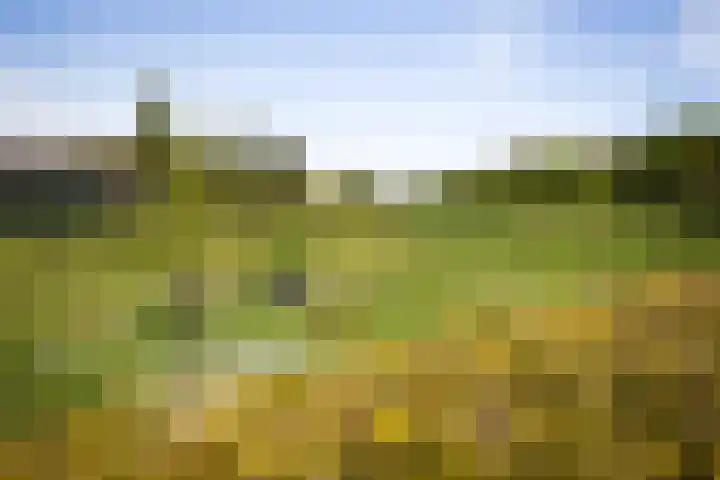 Prins Bernhardlaan 7 Wijhe thumbnail 28
