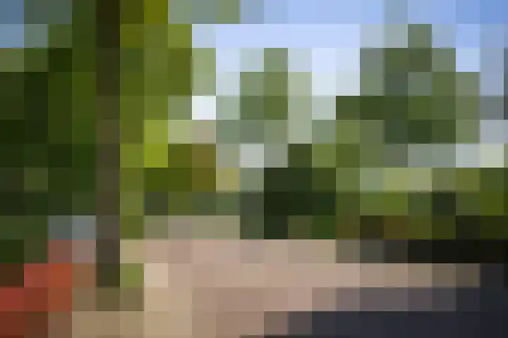 Prins Bernhardlaan 7 Wijhe thumbnail 29