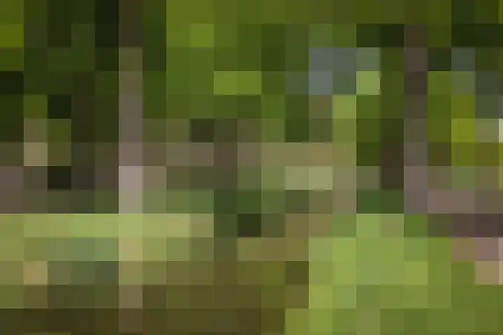 Prins Bernhardlaan 7 Wijhe thumbnail 33