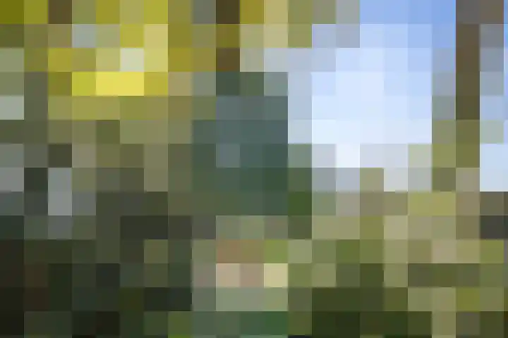 Prins Bernhardlaan 7 Wijhe thumbnail 34