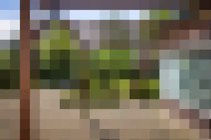 Prins Bernhardlaan 7 Wijhe thumbnail 4