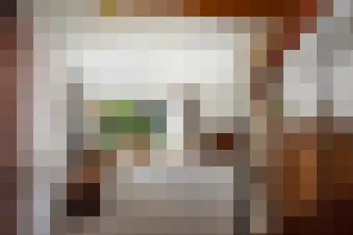 Prins Bernhardlaan 7 Wijhe thumbnail 6