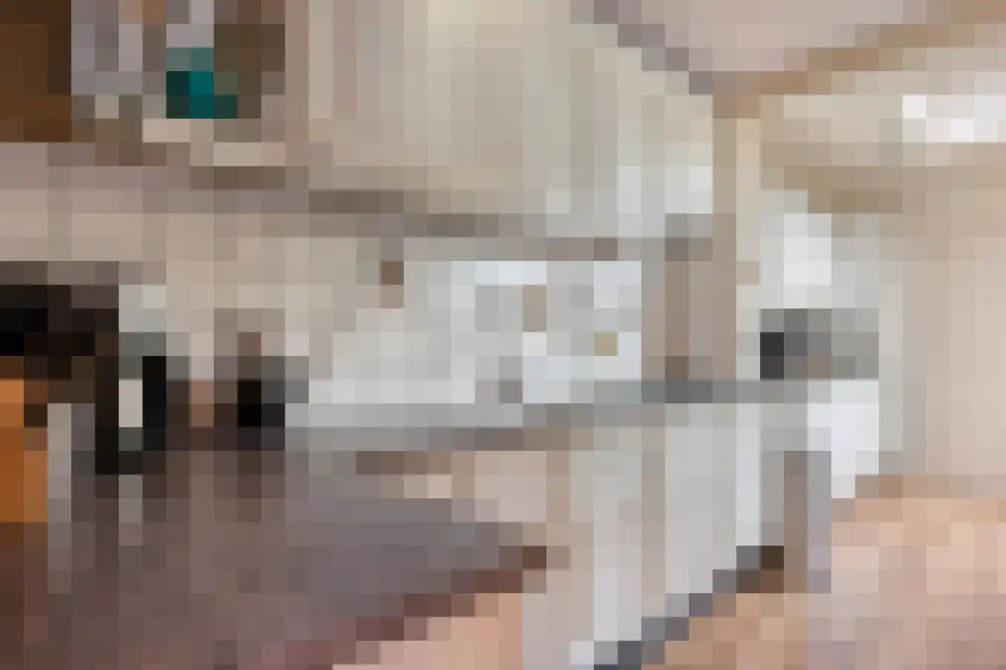 Prins Bernhardlaan 73 Maartensdijk thumbnail 44
