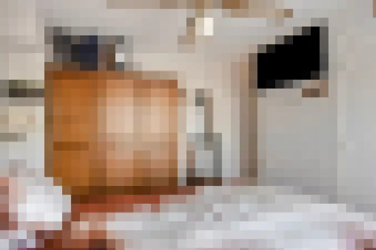 Prins Bernhardlaan 73 Maartensdijk thumbnail 54