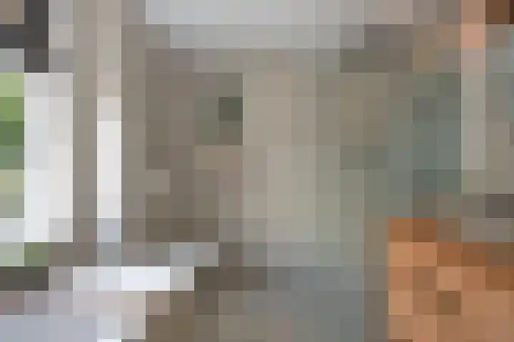 Prins Bernhardlaan 76 Borne thumbnail 35