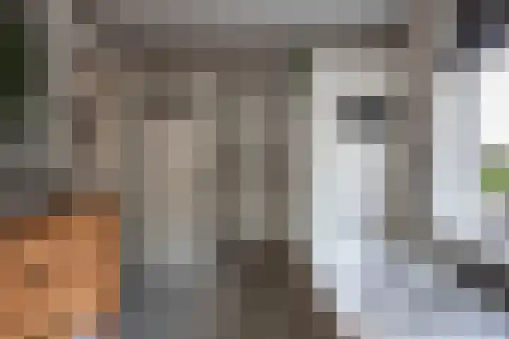 Prins Bernhardlaan 76 Borne thumbnail 36